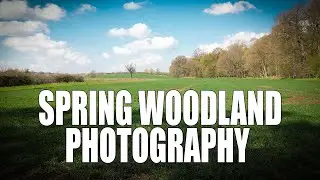 Spring Woodland Shoot with the K&F Magnetic Filter System