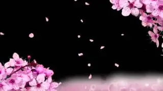 george benson my cherie amour || Love Manila's Jazz & Fusion
