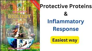 Protective proteins & inflammatory response |chapter 13 Immunity 11th class biology Sindh board|
