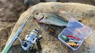 Micro fishing with pen fishing rod challenge (catch & cook)