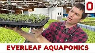 Everleaf Aquaponics (Часть 1): Экскурсия по аквакультуре штата Огайо
