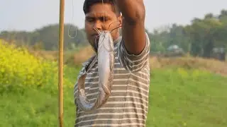 Hook Catch Fishing By the Boy hand catch Catfish video 2020