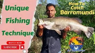 Unique Fishing Techniques | जिताडा यूनिक फ़िशिंग | Amazing technique for Big Fish | Monster Fishing