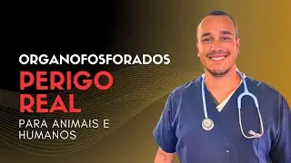 Organofosforados: O Que Todo Veterinário PRECISA Saber | Sintomas, Riscos e Tratamento Completo
