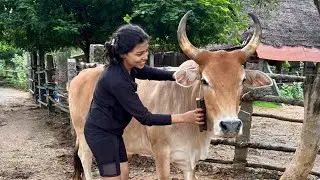 My Journey from Non-Vegetarian to Vegan | A Step Toward Compassion & Conscious Living#vegan 