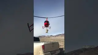 A load of coyotes headed to the tannery! #helicopter #hunting #predator #coyote
