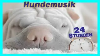 24 часа 🐶Музыка для собак: мягкая и расслабляющая музыка, которая усыпит вашего лучшего друга