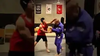 A jacked dude slapped a jiu-jitsu coach #ufc