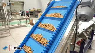 Cashew Roasting and Flavoring Line, Flavored Nut Manufacturing Plants