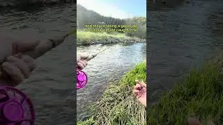 Creek fishing for tiny trout 🐟🎏
