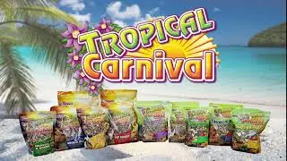Tropical Carnival Small Animal Product Intro
