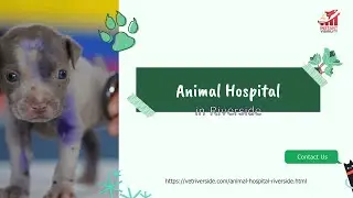 Animal Hospital in Riverside