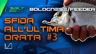 SALT WATER MANIA - PUNTATA 3 - BOLOGNESE vs FEEDER - SFIDA ALL'ULTIMA ORATA