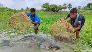Amazing Best Daily Fishing By Polo in Pond Water | Boys Catching Fish With Bamboo Tools Polo Trap