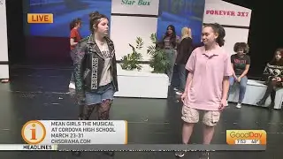 Mean Girls The Musical