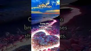 Did you know your brain reacts to heartbreak like physical pain?
