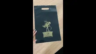 Custom Logo Printed Die Cut Handle Plastic Bags Shopping Bags For Packaging