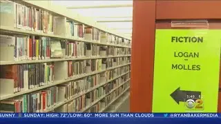 Schaumburg Township Library District Is Asking For $1.5 Million Less In Tax Revenues From Homeowners