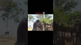 Realistic Boxing Combinations🥊💥#short #boxing #motivation #viral