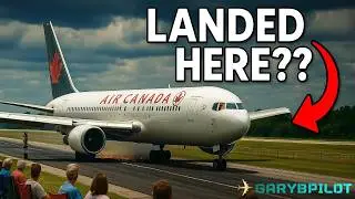 Gimli Glider: The Miracle Landing from a Fuel Disaster