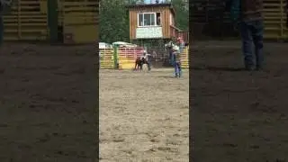Chute dogging
