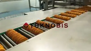 FEEDING AND PACKING AUTOMATION