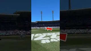 Ashe's not a normal test series #ashes #shortyt #ausvseng #cricket #crickettournament