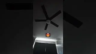 Upstairs Noisy Neighbors just stomp all morning!