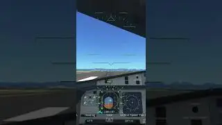 Piloting skills from wish.com