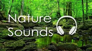 45 Minutes of sleep Music - Sleep fast Relax and Enjoy