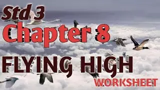 Class 3 Env Chapter 8 FLYING HIGH Worksheet solutions/Std 3 Env Chapter 8 worksheet solution NCERT