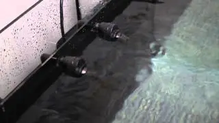 Innovative Marine AUQA Gadget Spin Stream on JBJ 45 Gallon RL Aquarium