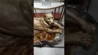 Golden Lion