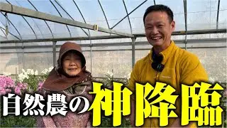 【自然栽培実施20年のノウハウ教えますの今橋さんがやってきた！】自然農の極意を教えていただきました