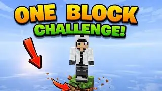 One block challenge in Minecraft#gaming 