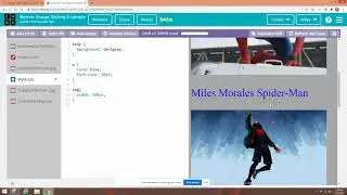 Styling Images- CSS