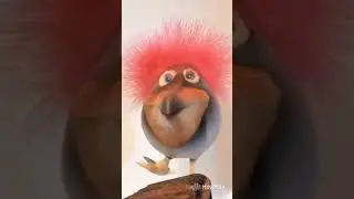 дикий огурец #огурец #скебоб #дикий