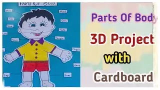 Parts Of Body 3D Project For Kids|parts of body project ideas|parts of body project drawing