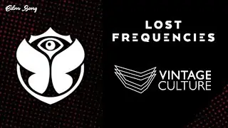 LOST FREQUENCIES & VINTAGE CULTURE [Only Drops] @ Tomorrowland United Through Music 2020