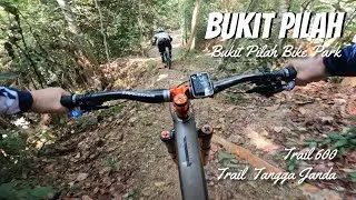 Flowy Trails at Bukit Pilah Bike Park - Section 2: Trail Bliss