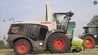 Claas | Jaguar 970 Black - 2 Axion 830 & 1 Arion 660 | Bossini | ROCCHI | Trinciato loietto 2023