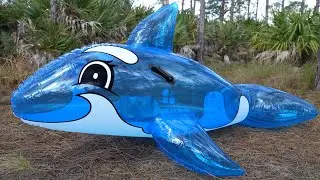 H2OGO! Whale Ride-On Pool Toy from Bestway