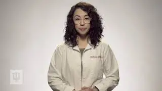 How does an Opioid Work: Part 1