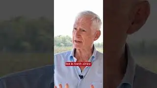 Почему Мальта &mdash; лучшая страна для виноделия? Рождение мальтийского изысканного вина.