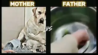 Dog Sad Moments (Mother Vs Father)🥺💔 #sad #emotational #ytvideo