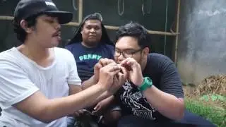 MIRISBRO : MASAK KUPU-KUPU SAOS MACAN!!!