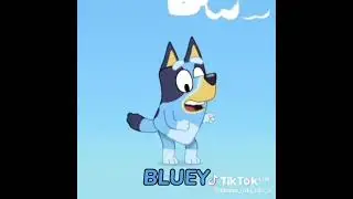 Bluey & Bingo Edit - Bluey #Bluey #BlueyandBingo #edit