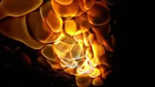 Sisyphos - Hammahalle Techno / Kutscher - 06.01.25