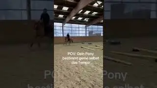 Sind eure Pferde Stark beim Springen? #springpony #springvideo #reitvideo #springtraining #reiten
