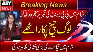 Shaam Main Bibi Zanib Ki Qabar Par Mojza Zahr Ho Gaya|Allah ki Qadrat Ka Barda Karishma
